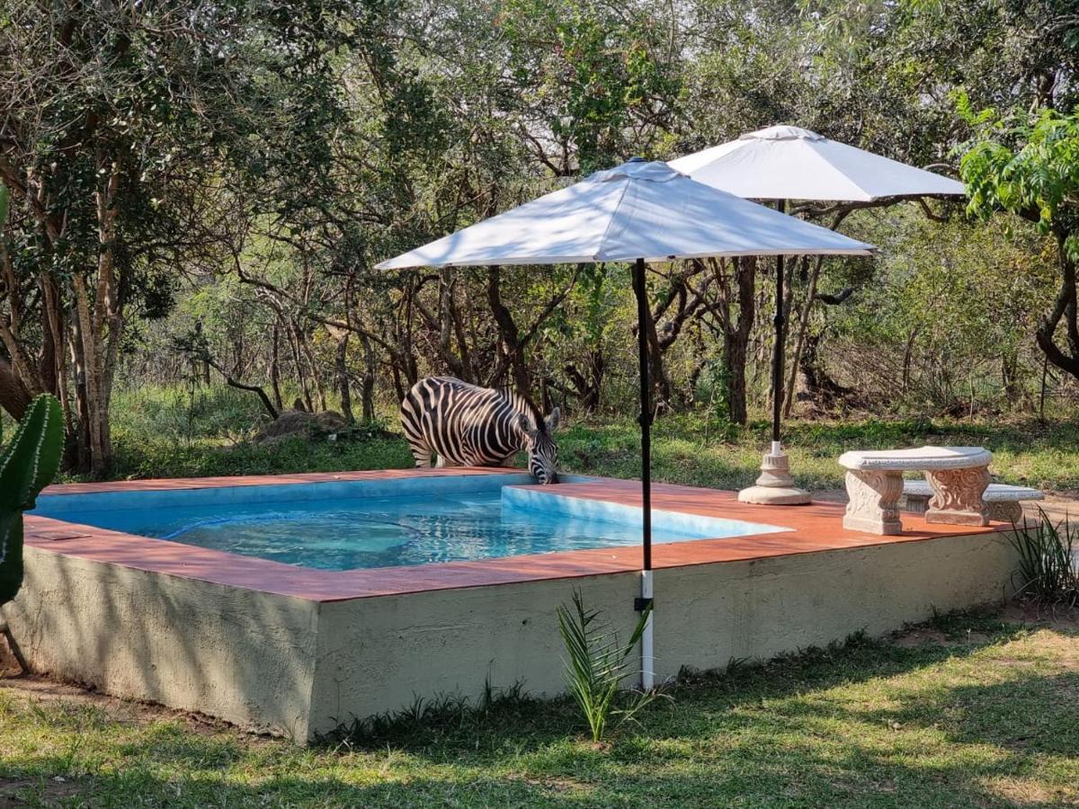 Wild Ride Safaris And Bush Camp Villa Hoedspruit Ngoại thất bức ảnh