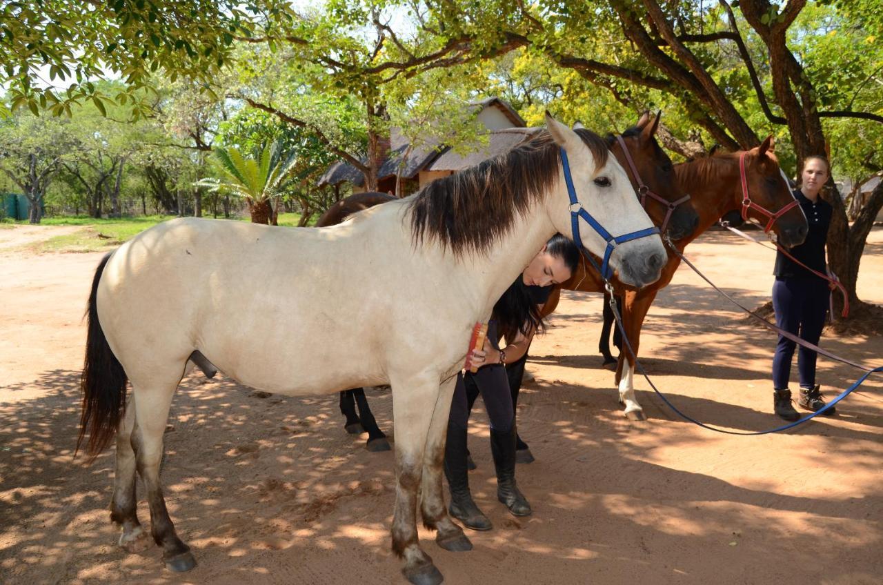 Wild Ride Safaris And Bush Camp Villa Hoedspruit Ngoại thất bức ảnh