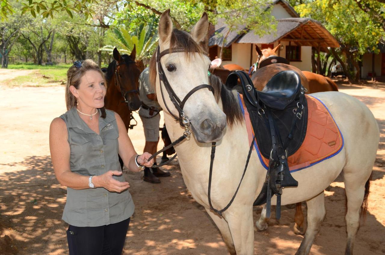 Wild Ride Safaris And Bush Camp Villa Hoedspruit Ngoại thất bức ảnh